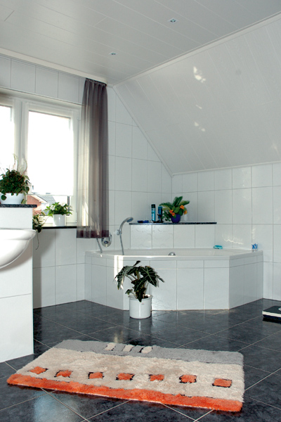 Ein Haus bauen. Bauen Sie Ihr Eigenheim mit Terra-projekt in Cloppenburg